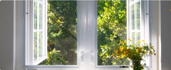 window.jpg