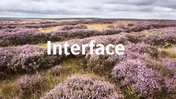 Interface.jpg
