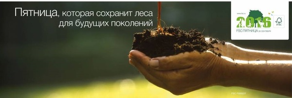 fsc пятница.jpg