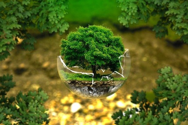 environmentajpg.jpg