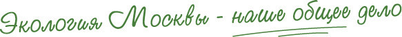 eco_slogan.jpg