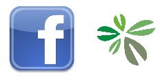 Rugbc facebook3